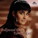 Bollywood Diva Katrina Kaif - Ad Boyz Song Download